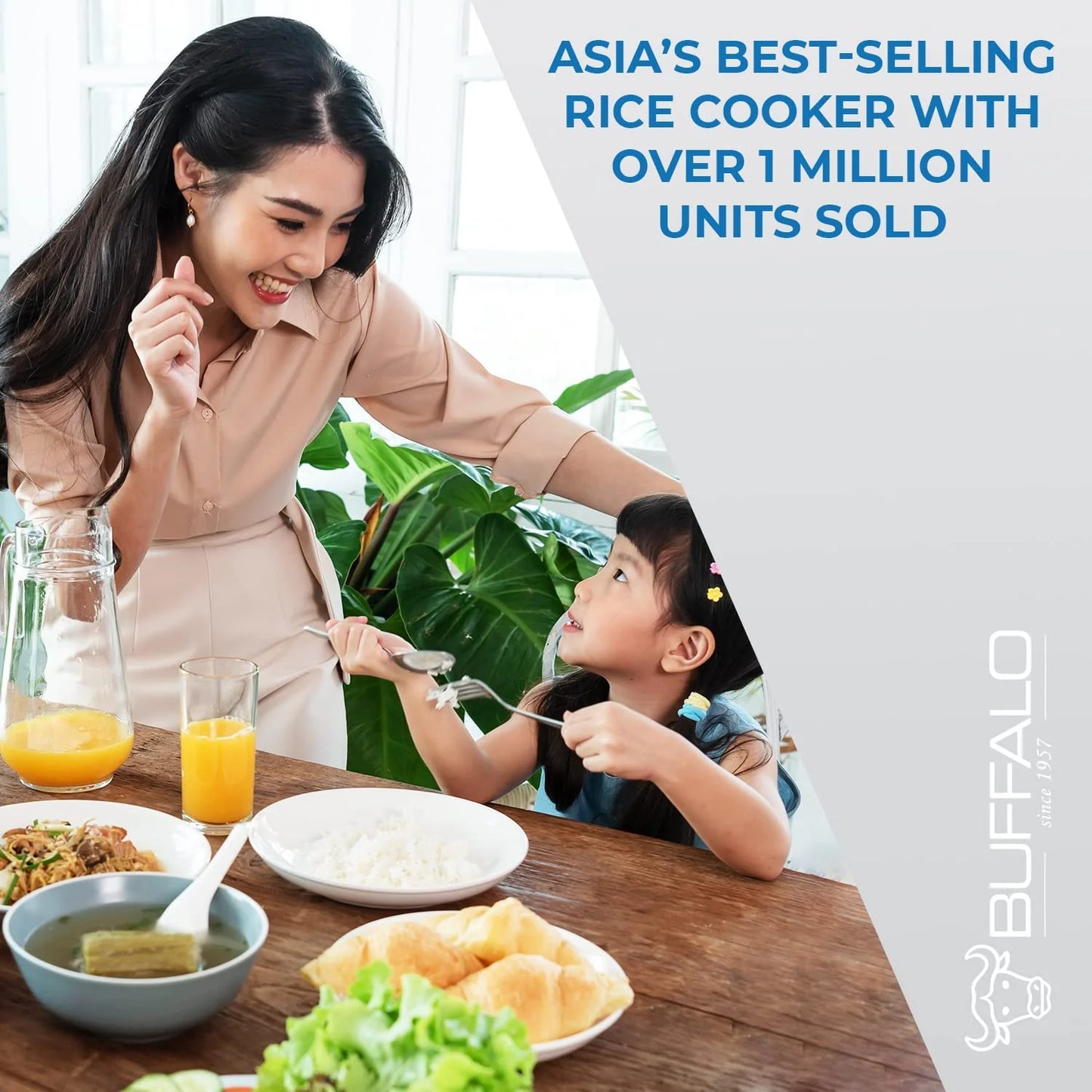 Buffalo Classic 10-cup Rice Cooker