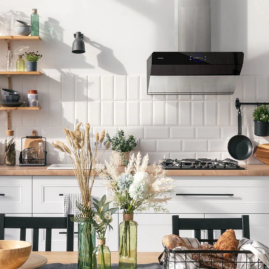 Modern home1